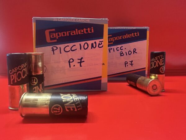Piccione