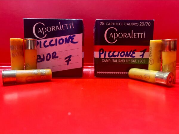 Piccione - immagine 2
